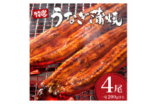 うなぎ蒲焼き 800g (200g×4尾) 土用の丑の日8月5日着