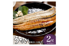 うなぎ 蒲焼き 白焼き 食べ比べセット 400g (200g×各1尾) ／うなぎ 鰻 ウナギ 蒲焼 蒲焼き 土用 丑の日 特選 肉厚 たれ 国産 ふるさと 鰻丼 鰻重 うな重 うなぎたれ ギフト 贈り物 佐賀 佐賀県 送料無料