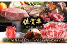 ＜定期便6回＞佐賀牛食べ比べ定期便 45万コース ／ 佐賀牛 肉 牛肉 黒毛和牛 国産 バーベキュー 焼肉 やきにく にく 赤身 佐賀 佐賀県 国産牛 佐賀県産 ブランド牛