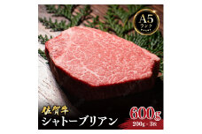 佐賀牛シャトーブリアン600g (200g×3枚) ／ 佐賀 大町町 肉 お肉 牛肉 フィレ ヒレ ステーキ シャトーブリアン 贈答 ブランド牛 A5 国産 霜降り ギフト グルメ 国産牛 特産品 お祝い 贈り物 ステーキ肉 冷凍