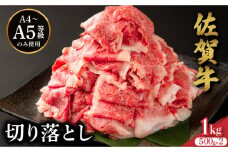 佐賀牛たっぷり切り落とし 1kg (500g×2パック) ／ 佐賀牛 国産和牛 大町町 焼肉 肉 お肉 にく 国産 佐賀牛 切り落とし ステーキ 贈り物 ギフト 佐賀県 冷凍 焼き肉 牛肉