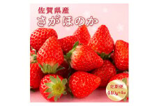 【先行予約】◆2025年1月〜4月発送予定◆ さがほのか 440g (220g×2p)×4回定期便（1月～4月発送）