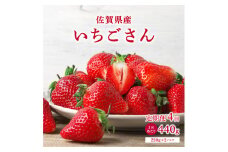 【先行予約】◆2025年1月〜4月発送予定◆ いちごさん 440g (220g×2p)×4回定期便
