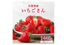 【先行予約】◆2025年1月中旬より順次発送予定◆ いちごさん 440g (220g×2p)