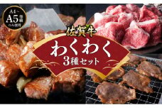 佐賀牛わくわくセット3種計1kg/肉 お肉 ギフト 贈答品 佐賀牛 国産 佐賀 冷凍  牛肉 黒毛和牛 カルビ サイコロステーキ 切り落とし 国産和牛 セット