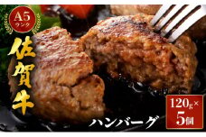 佐賀牛ハンバーグ　120g×5個																															
