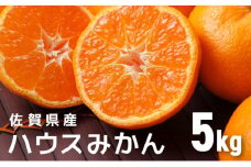 佐賀産ハウスみかん約5kg箱【佐賀 みかん オレンジ フルーツ濃厚 甘い 酸味 大町 贈答 ギフト 贈り物】41nf-003