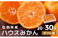 佐賀産ハウスみかんギフト箱(20-30玉)【佐賀 みかん オレンジ フルーツ濃厚 甘い 酸味 大町 贈答 ギフト 贈り物】 41nf-002