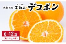 [先行予約] 佐賀産 デコポン8〜12玉(約2.5kg箱)／ふるさと納税 佐賀 フルーツ濃厚 甘い 酸味 大町 贈答 ギフト 贈り物