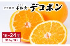 [先行予約] 佐賀産 デコポン15〜24玉(約5kg箱)／ふるさと納税 佐賀 フルーツ濃厚 甘い 酸味 大町 贈答 ギフト 贈り物