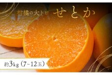 【先行予約】みかんの「大トロ」佐賀産かんきつ・せとか 約3kg(7-12玉) / ふるさと納税 佐賀 フルーツ 濃厚 甘い 酸味 大町 贈答 ギフト 贈り物