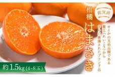 【先行予約】佐賀産柑橘「はまさき」 約1.5kg(4-8玉)  / ふるさと納税 佐賀 フルーツ 濃厚 甘い 酸味 大町 贈答 ギフト 贈り物