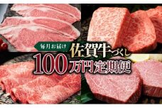 毎月お届け！佐賀牛づくし！100万円定期便 / ふるさと納税 国産 サーロインステーキ ヒレステーキ ローストビーフ ハンバーグ しゃぶしゃぶ 国産牛 国産和牛 佐賀牛 お肉 肉 にく 霜降り 冷凍 