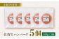 佐賀牛 A5 ハンバーグ 140g×5個 佐賀牛 ハンバーグ 冷凍 国産 A5 牛肉 黒毛和牛 佐賀 和牛 ハンバーグ