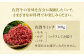 佐賀牛 A5 ミンチ 約300g【肉の三栄】 [HAA023] / 黒毛和牛 牛肉 精肉 肉 モモ ウデ 挽肉 ひき肉 挽き肉