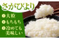 【全6回定期便】さがびより・夢しずく 白米 5kg【五つ星お米マイスター厳選】 [HBL031]