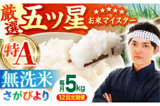 ＜15年連続特A評価＞【全12回定期便】さがびより 無洗米 5kg【五つ星お米マイスター厳選】 [HBL027] 特A 特A評価 佐賀 ブランド米 ご飯 米 お米 無洗米