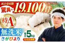 ＜15年連続特A評価＞【全12回定期便】さがびより 無洗米 5kg【五つ星お米マイスター厳選】 [HBL027] 特A 特A評価 佐賀 ブランド米 ご飯 米 お米 無洗米