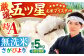 【全6回定期便】さがびより 無洗米 5kg【五つ星お米マイスター厳選】 [HBL026] 定期便 定期 特A評価 特A 無洗米