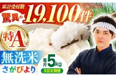 【全3回定期便】さがびより 無洗米 5kg【五つ星お米マイスター厳選】 [HBL025] 定期 定期便 特A評価 特A 佐賀 ブランド米 無洗米 ご飯 米 お米