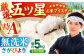 【全3回定期便】さがびより 無洗米 5kg【五つ星お米マイスター厳選】 [HBL025] 定期 定期便 特A評価 特A 無洗米