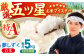 【全6回定期便】夢しずく 白米 5kg【五つ星お米マイスター厳選】 [HBL023]