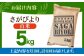 【全6回定期便】さがびより 白米 5kg【五つ星お米マイスター厳選】 [HBL020]