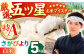 【15年連続特A受賞】令和6年産 さがびより 白米 5kg 特A 特A評価 特A米 米 お米 白米 精米 ブランド米 佐賀県