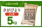 【15年連続特A受賞】令和6年産 さがびより 白米 5kg 特A 特A評価 特A米 米 お米 白米 精米 ブランド米 佐賀県