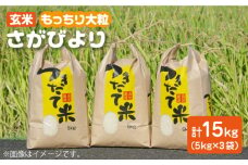 【をお届け】令和4年産 玄米 さがびより 15kg ( 5kg×3袋 ) 【武富農園】[HAH001]