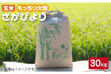 【をお届け】令和4年産 玄米 さがびより 30kg【武富農園】[HAH002]
