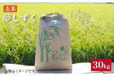【をお届け】令和4年産 玄米 夢しずく 30kg【武富農園】 [HAH004]
