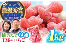 王様のいちご 摘みたてこおりいちご 1kg ( 冷凍いちご ) いちごさん さがほのか【むらおか農園】 [HAF007]