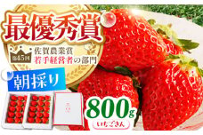 【農薬0への挑戦】【1～2月発送】王様のいちご いちごさん 800g ( 400g×2箱 )【むらおか農園】 [HAF009]