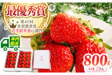 【農薬0への挑戦】【12月発送】王様のいちご いちごさん 800g ( 400g×2箱 )【むらおか農園】 [HAF001] 年内発送