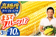 【先行予約】＜2025年6月中旬以降発送＞スイートコーン ゴールドラッシュ 8本〜10本【八丁屋】 [HAO001]