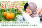 【“幻のみかん”20個以上】今村みかんジュース 720ml×2本【今村みかんジュースの会】 [HBI001] みかんジュース
