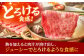 【全3回定期便】佐賀牛 リブロース スライス 500g 牛肉 定期便 ロース しゃぶしゃぶ 鍋 A5 黒毛和牛 佐賀 ギフト
