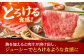 【全12回定期便】佐賀牛 リブロース スライス 500g  牛肉 定期便 ロース しゃぶしゃぶ 鍋 A5 黒毛和牛 佐賀 ギフト