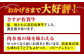 佐賀牛 赤身 ( モモ ) 焼肉用 800g ( 400g×2パック )【山下牛舎】 [HAD057] 牛肉 肉 精肉 赤身