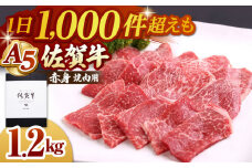 【最速配送】佐賀牛 A5 赤身 ( モモ ) 焼肉用 1.2kg ( 400g×3パック )【山下牛舎】 [HAD058] 佐賀牛 牛肉 精肉 肉 黒毛和牛 赤身 赤身肉 焼肉 焼肉用 BBQ A5ランク 佐賀県 ギフト 贈答