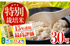 【先行予約】令和6年産 特別栽培米 さがびより 玄米 30kg【だいちの家】[HAG007]
