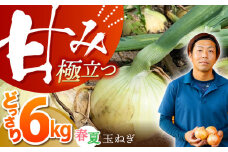 【先行予約】【毎日のお料理に】玉ねぎ タマネギ 江北町産 たまねぎ 約6kg【百武青果】 [HAE008] 玉ねぎ 江北町