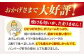 佐賀牛 ハンバーグ 冷凍 国産 A5 牛肉 黒毛和牛 佐賀 和牛 定期便 贈答用 贈答品 贈り物 プレゼント A5ランク