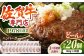 佐賀牛 ハンバーグ 冷凍 国産 A5 牛肉 黒毛和牛 佐賀 和牛 定期便 贈答用 贈答品 贈り物 プレゼント A5ランク