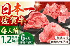 【全6回定期便】4人家族向け 佐賀牛 普段使いセットA ( 切り落とし・角切り ) 【田中畜産牛肉店】 [HBH036]
