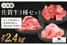 【切り落としと煮込み肉】たっぷり 佐賀牛 普段使いセット ( 切り落とし・角切り ) 【田中畜産牛肉店】 [HBH032]