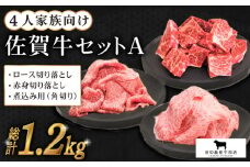 【毎日の料理に】4人家族向け 佐賀牛 普段使いセットA ( 切り落とし・角切り ) 【田中畜産牛肉店】 [HBH031]