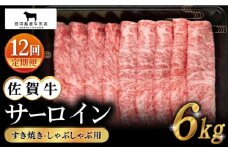 【全12回定期便】佐賀牛 サーロイン スライス 500g【田中畜産牛肉店】 [HBH020]