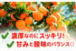 みかん みかんジュース ミカン 蜜柑 佐賀みかん 果汁100% 濃縮還元 温州みかん 果実 フルーツ 